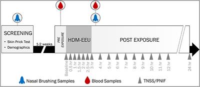 Biologic Responses to House Dust Mite Exposure in the Environmental Exposure Unit